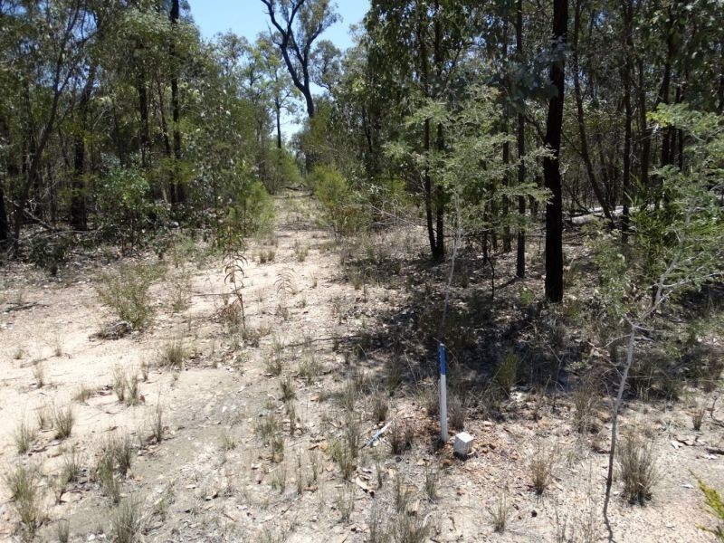 118 ACRES Lot 15 Mary Road, Wieambilla QLD 4413