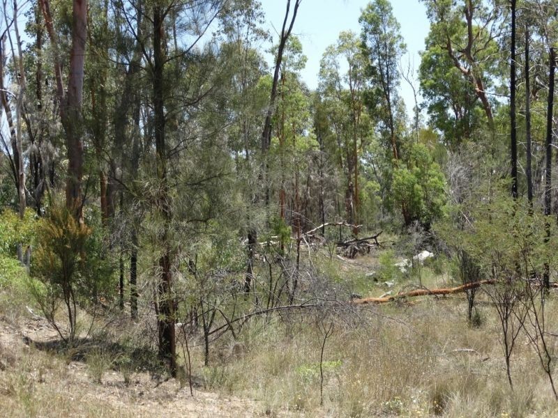 118 ACRES Lot 15 Mary Road, Wieambilla QLD 4413