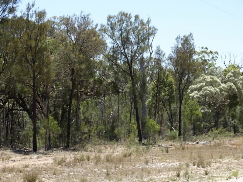 118 ACRES Lot 15 Mary Road, Wieambilla QLD 4413