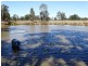 1479 Beelbee Road, Kogan QLD 4406