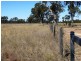 1479 Beelbee Road, Kogan QLD 4406