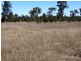 1479 Beelbee Road, Kogan QLD 4406