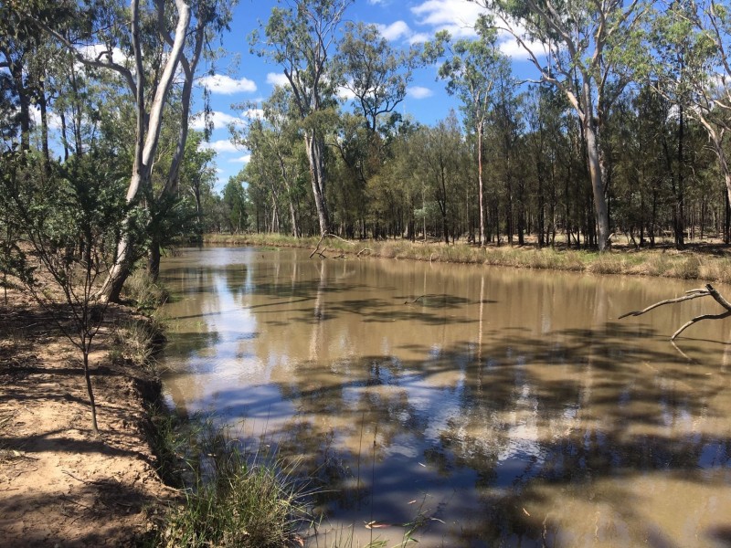 1479 Beelbee Road, Kogan QLD 4406