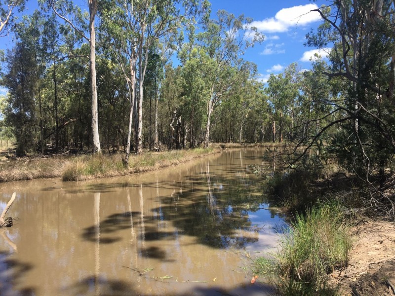 1479 Beelbee Road, Kogan QLD 4406