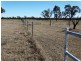 1479 Beelbee Road, Kogan QLD 4406