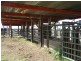 1280 ACRES A Grahams Road, Chinchilla QLD 4413