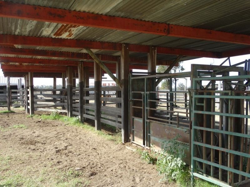 1280 ACRES A Grahams Road, Chinchilla QLD 4413