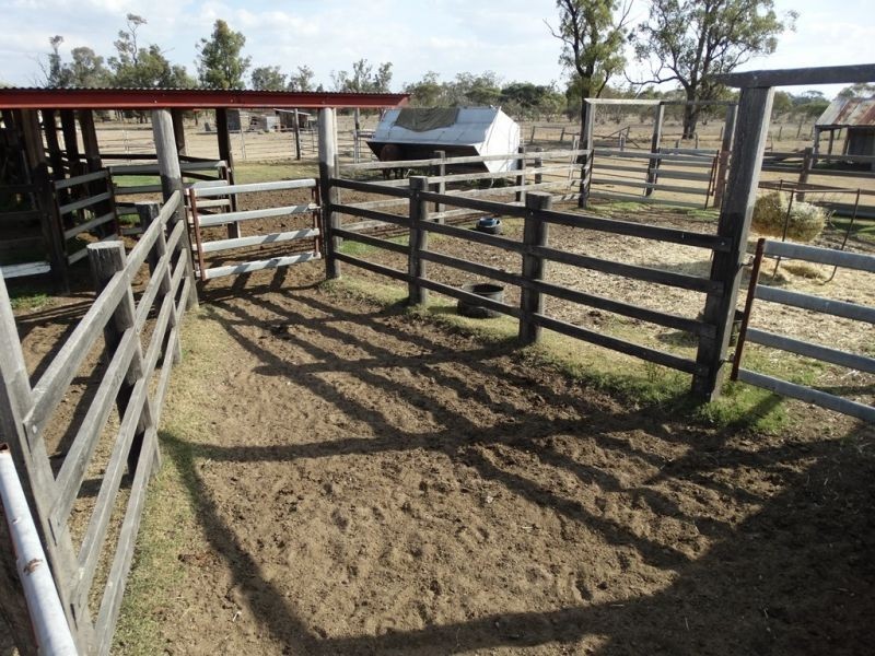 1280 ACRES A Grahams Road, Chinchilla QLD 4413