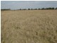 1280 ACRES A Grahams Road, Chinchilla QLD 4413