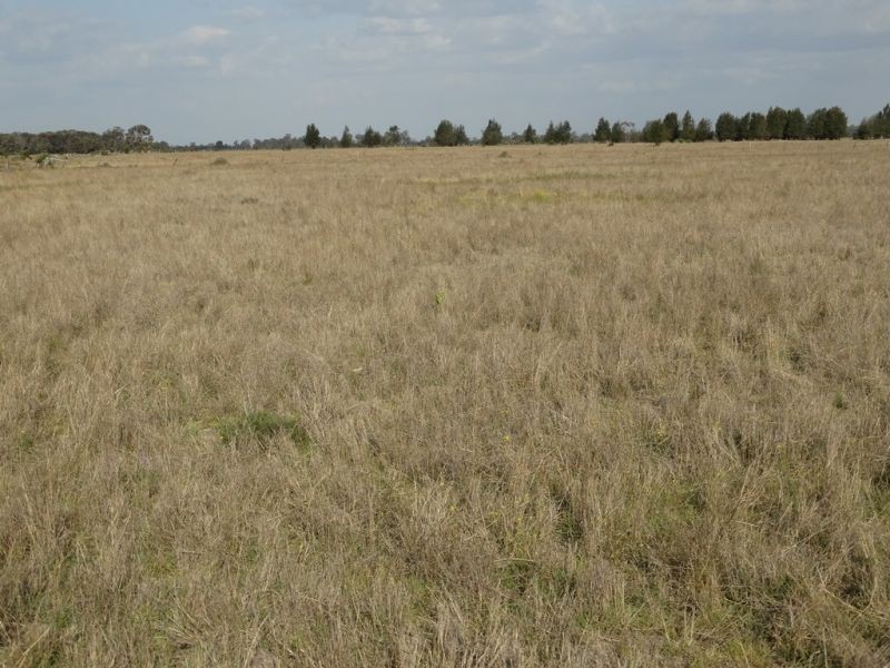 1280 ACRES A Grahams Road, Chinchilla QLD 4413