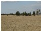 1280 ACRES A Grahams Road, Chinchilla QLD 4413