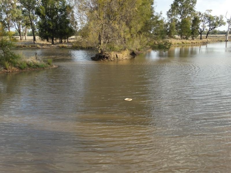 1280 ACRES A Grahams Road, Chinchilla QLD 4413