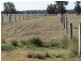 1280 ACRES A Grahams Road, Chinchilla QLD 4413