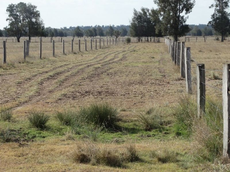 1280 ACRES A Grahams Road, Chinchilla QLD 4413