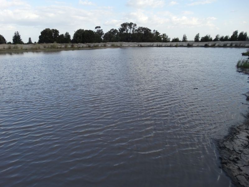 1280 ACRES A Grahams Road, Chinchilla QLD 4413