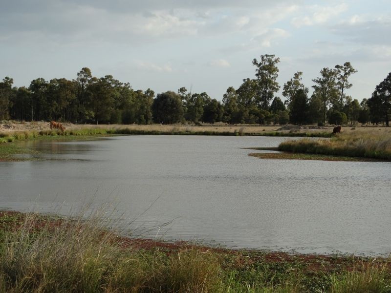 1280 ACRES A Grahams Road, Chinchilla QLD 4413