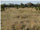 1280 ACRES A Grahams Road, Chinchilla QLD 4413