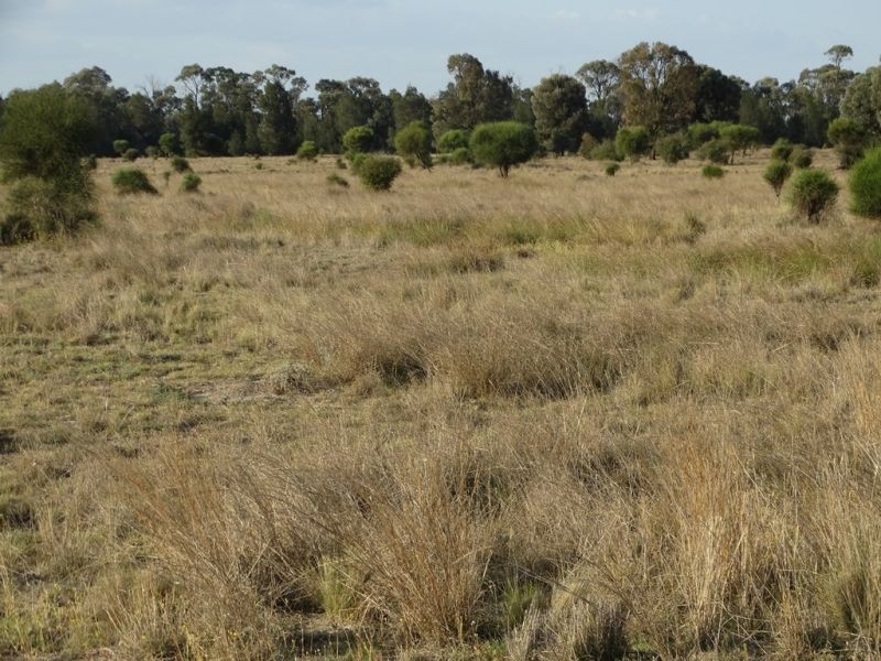 1280 ACRES A Grahams Road, Chinchilla QLD 4413