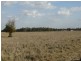 1280 ACRES A Grahams Road, Chinchilla QLD 4413