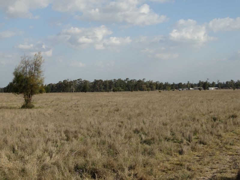 1280 ACRES A Grahams Road, Chinchilla QLD 4413