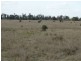 1280 ACRES A Grahams Road, Chinchilla QLD 4413