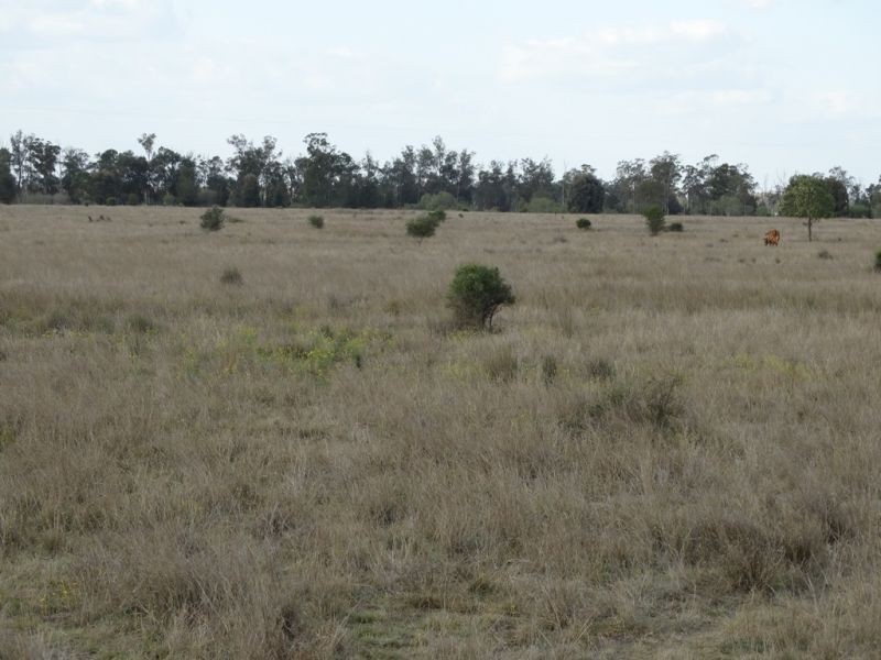 1280 ACRES A Grahams Road, Chinchilla QLD 4413