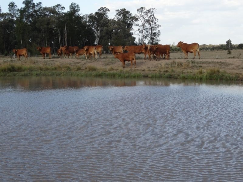 1280 ACRES A Grahams Road, Chinchilla QLD 4413