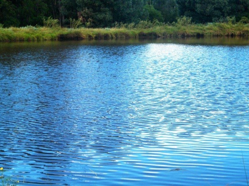 3321 Acres Mount Myrtle Road, Miles QLD 4415