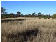 3321 Acres Mount Myrtle Road, Miles QLD 4415