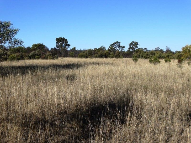 3321 Acres Mount Myrtle Road, Miles QLD 4415