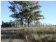 3321 Acres Mount Myrtle Road, Miles QLD 4415