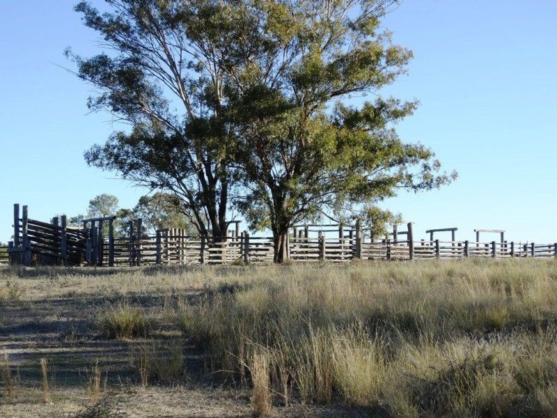 3321 Acres Mount Myrtle Road, Miles QLD 4415