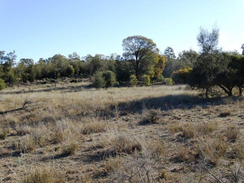 3321 Acres Mount Myrtle Road, Miles QLD 4415