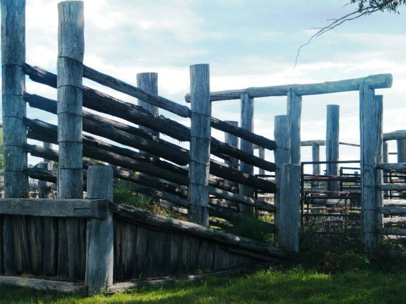 3321 Acres Mount Myrtle Road, Miles QLD 4415