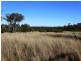 3321 Acres Mount Myrtle Road, Miles QLD 4415