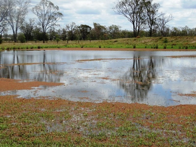 130 ACRES – Dawson Gates Road, Chinchilla QLD 4413