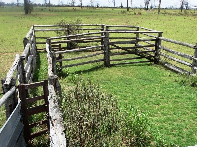 130 ACRES – Dawson Gates Road, Chinchilla QLD 4413