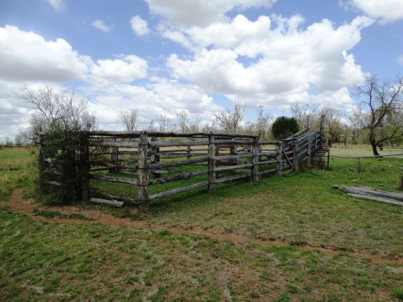 130 ACRES – Dawson Gates Road, Chinchilla QLD 4413