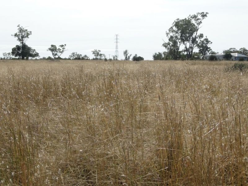 130 ACRES – Dawson Gates Road, Chinchilla QLD 4413