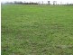 130 ACRES – Dawson Gates Road, Chinchilla QLD 4413
