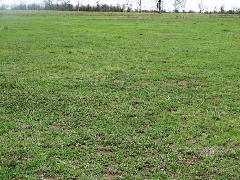 130 ACRES – Dawson Gates Road, Chinchilla QLD 4413