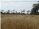 130 ACRES – Dawson Gates Road, Chinchilla QLD 4413