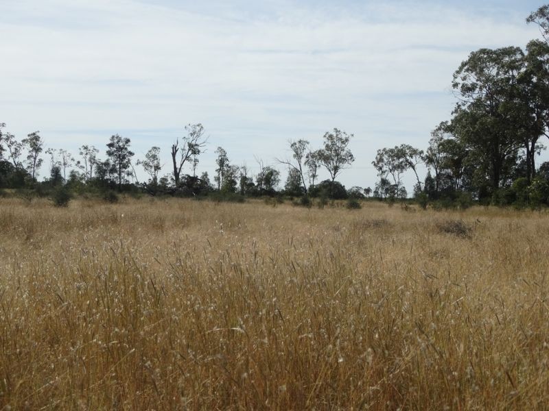130 ACRES – Dawson Gates Road, Chinchilla QLD 4413