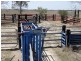 . Greenacres 891 ACRES, Chinchilla QLD 4413