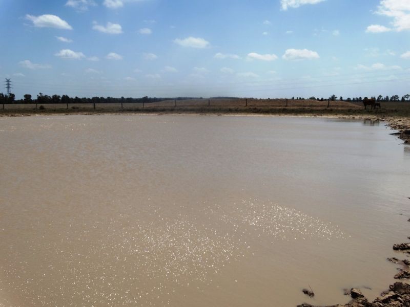 . Greenacres 891 ACRES, Chinchilla QLD 4413