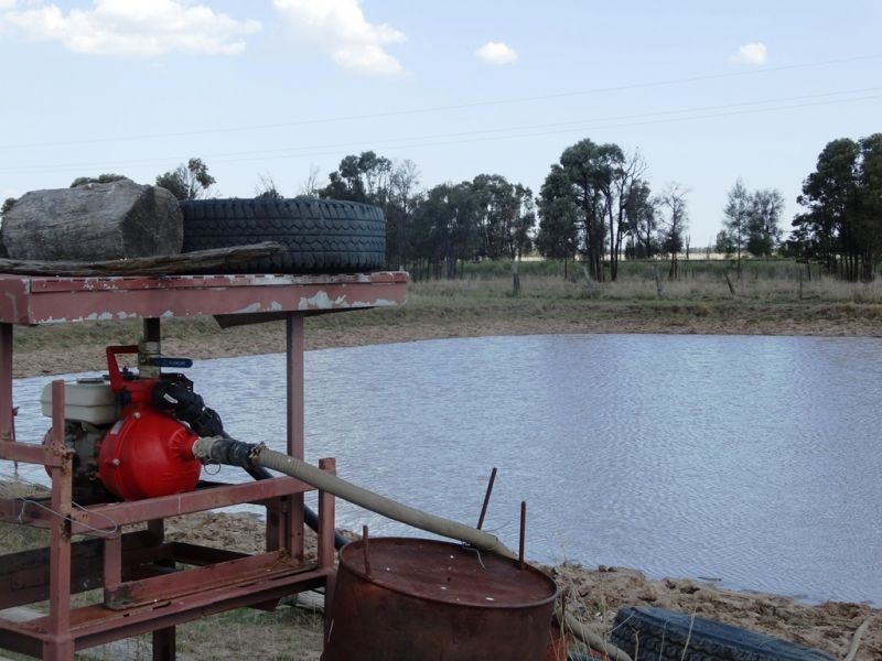 . Greenacres 891 ACRES, Chinchilla QLD 4413