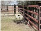 . Greenacres 891 ACRES, Chinchilla QLD 4413