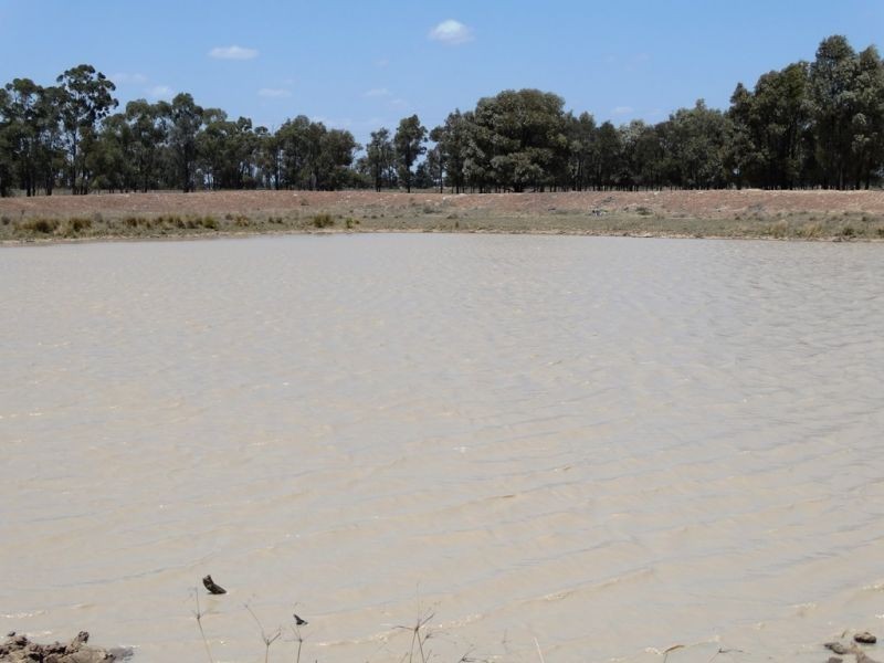 . Greenacres 891 ACRES, Chinchilla QLD 4413