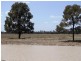 . Greenacres 891 ACRES, Chinchilla QLD 4413