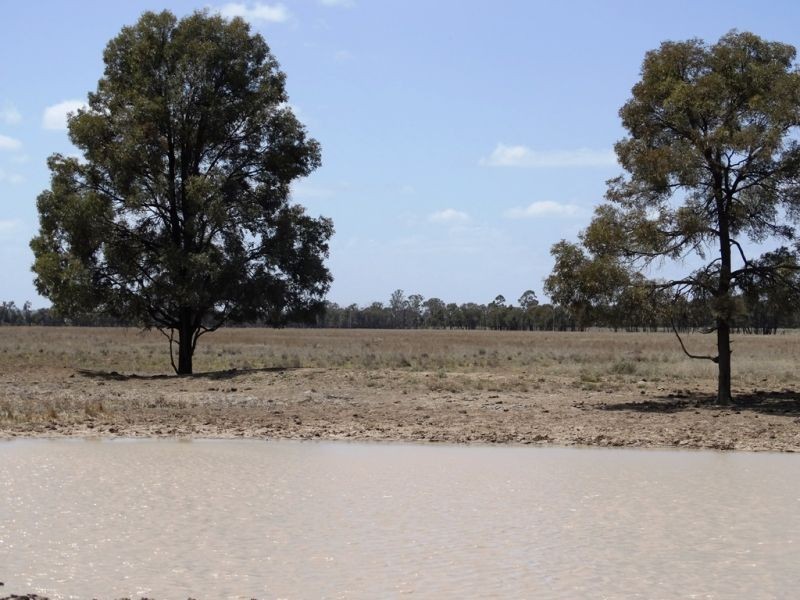 . Greenacres 891 ACRES, Chinchilla QLD 4413